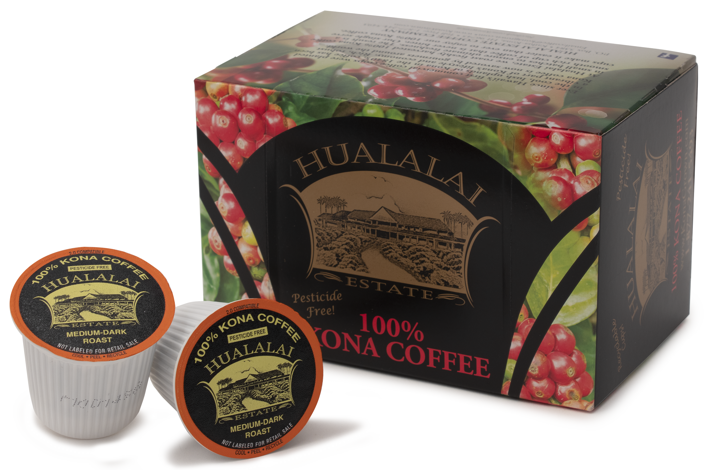 100 top k cups