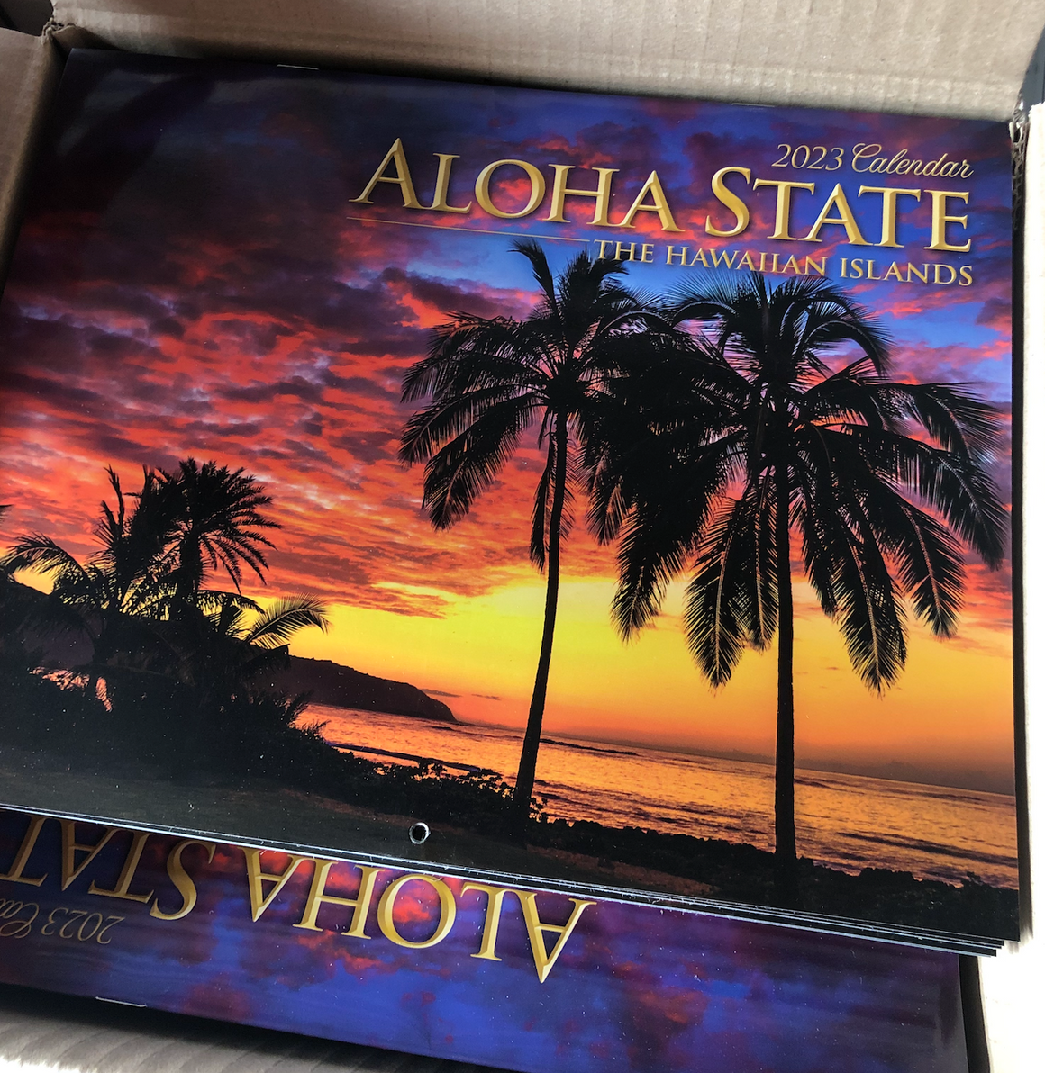 2023 Hawaii Calendar